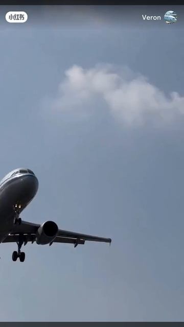 Самолёт врезался в стаю птиц