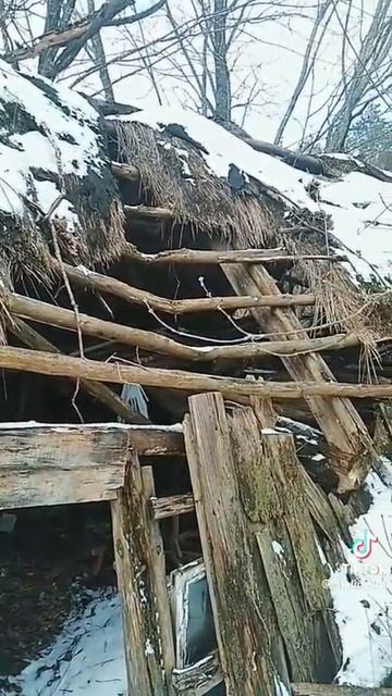 VID-20250529-WA0015