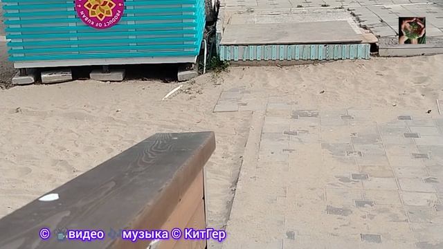 Речка пёсик запретное купание