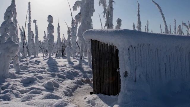 Сложно поверить, что люди могут жить так бедно. Обычна?