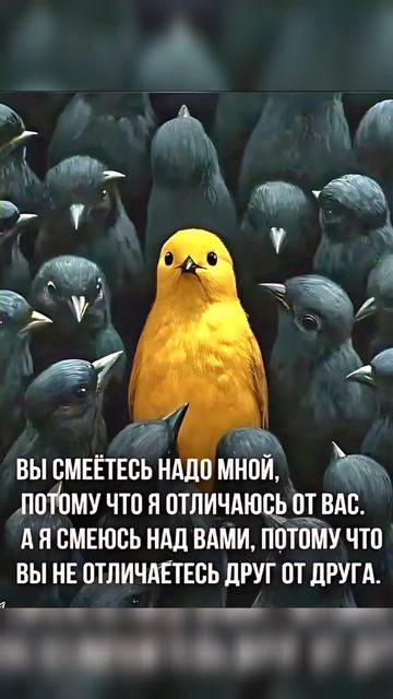 1000112050.mp4