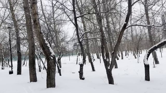 После развода свекровь заявилась и потребовала ключи