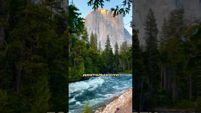 Как увеличить шансы на одобрение визы в США?