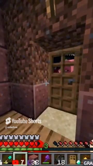 Minecraft Лучшее #949