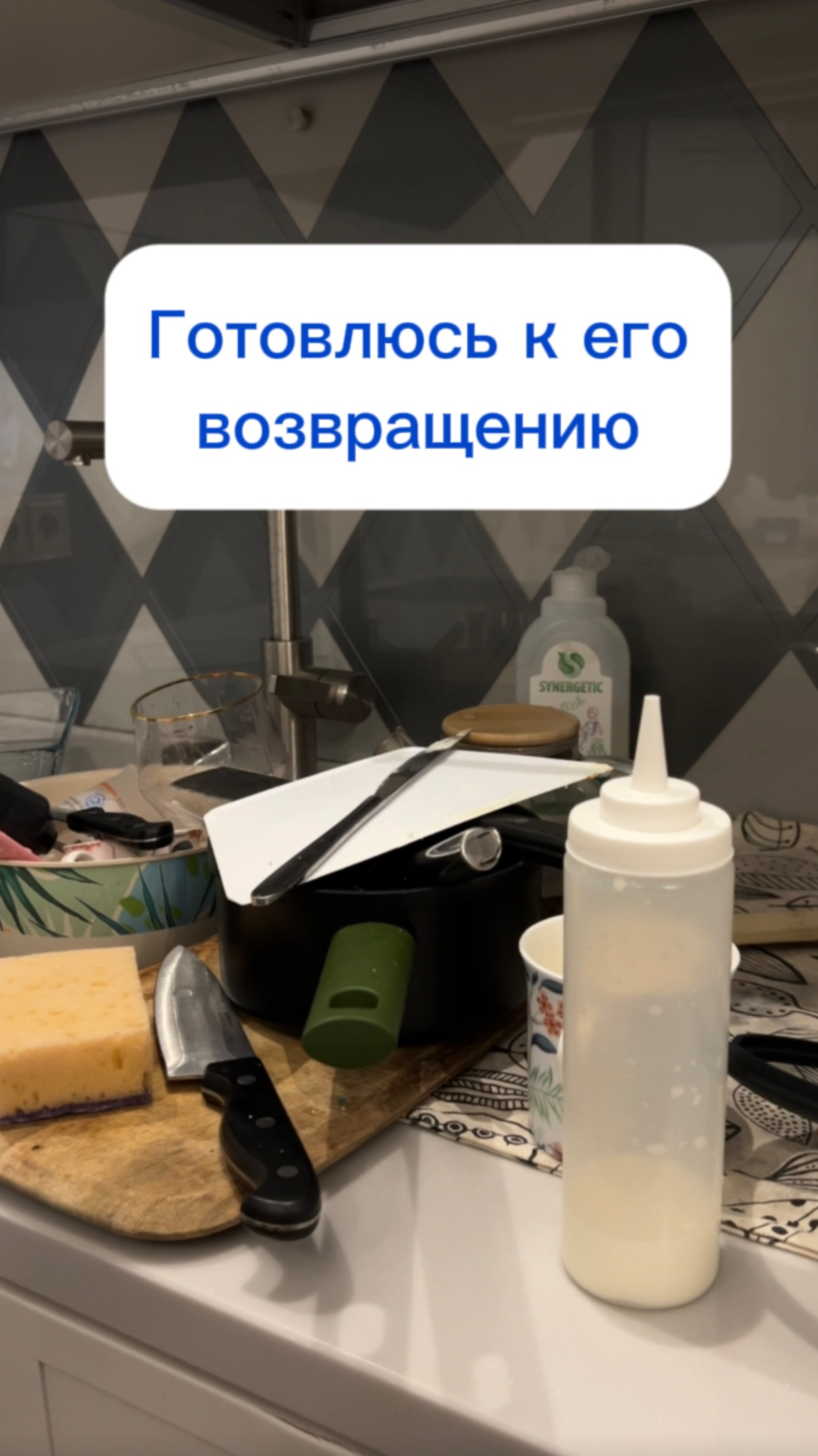 Встречаю из путешествия
