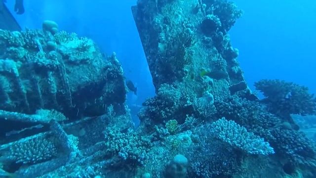Египет дайвинг сафари 2018. Ноябрь. Egypt Red Sea Safari 2019