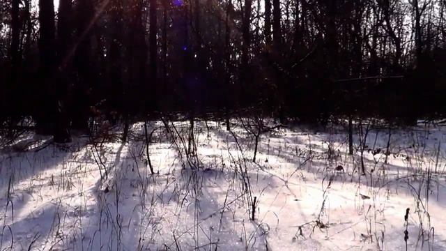 САМВЕЛ АДАМЯН, ОБЗОР ОТ СК