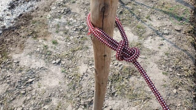 Wow great! 2 mysterious knots that you don't know about in your everyday life