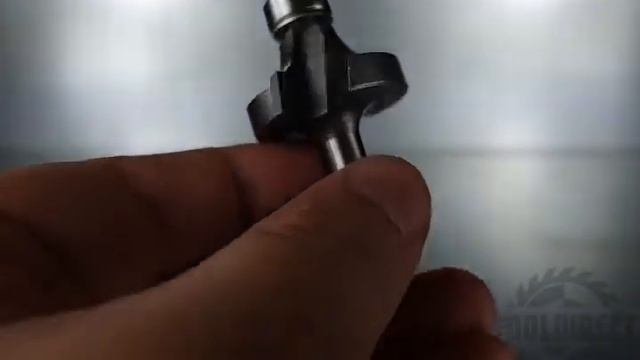 Фреза внутр.радиус  (нижн. подш.) Z=2 R=9,5 D=31,8x16,5x56 S=8 PROCUT 211.213116