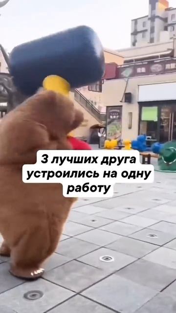 Когда выдался перерыв... #shorts #приколы