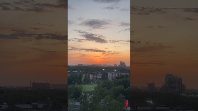 Чайки на закате