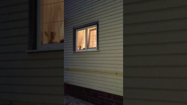очень страшное видео