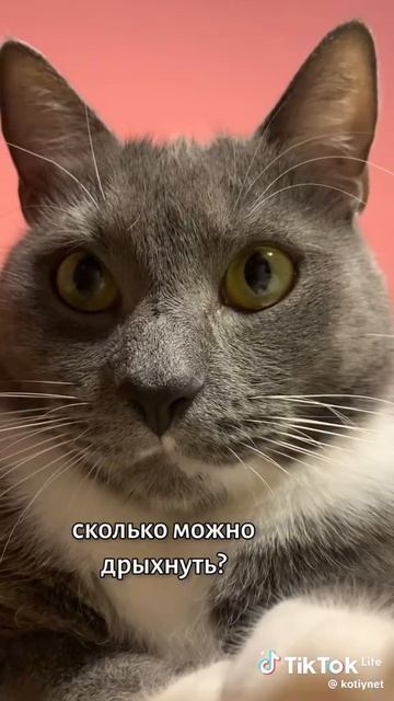 Ой а кто тут соная колбаска