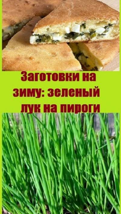 Начинаю делать заготовки на зиму - зеленый лук на пироги!