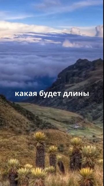 Абдулов о жизни!