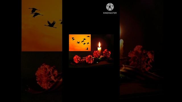 ЖУРАВЛИ ❤️Любимая песня моего отца❤️