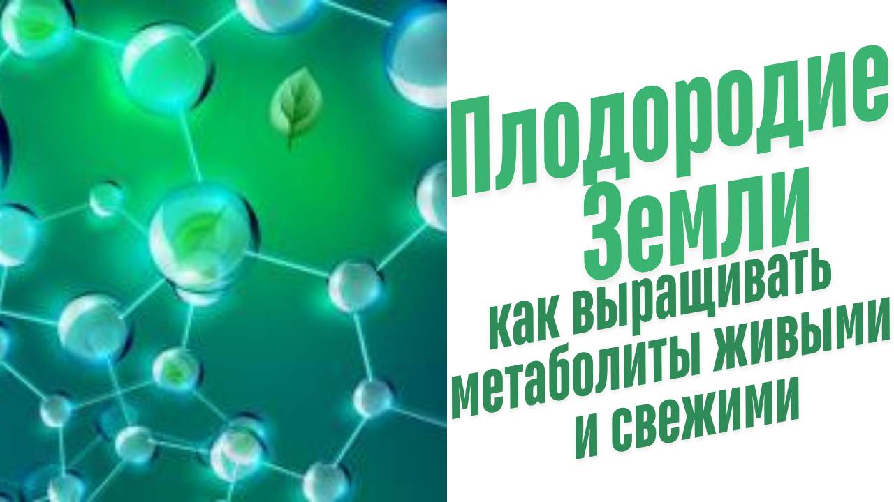 Синтез метаболитов.