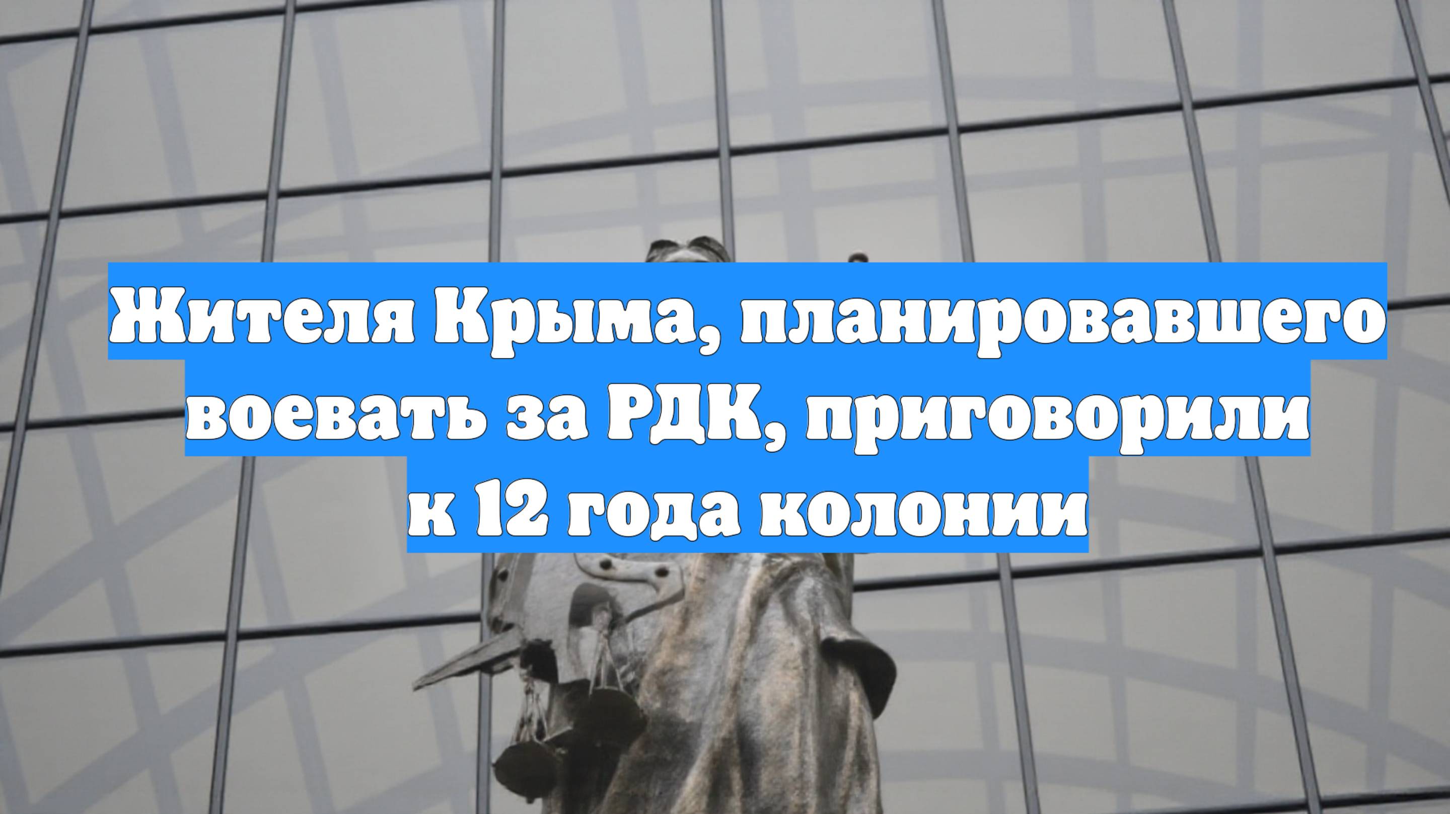 Жителя Крыма, планировавшего воевать за РДК, приговорили к 12 года колонии
