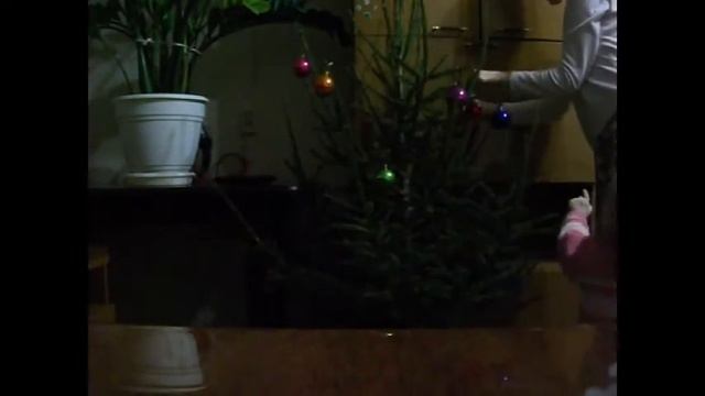 Украшаем елку к Новому Году!!! С Наступающим!!!