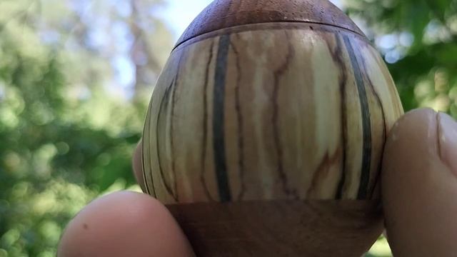 Шкатулка в весеннем лесу на березе