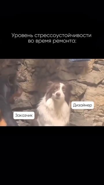 Главное, сохранять спокойствие 🧘♀️