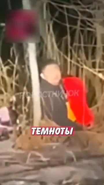 Новостничок (1075)