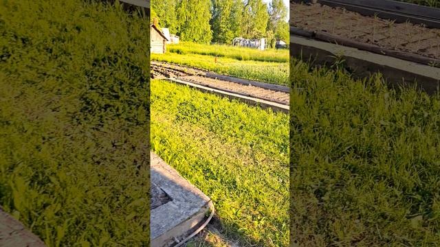 29.06.2024 часть 3