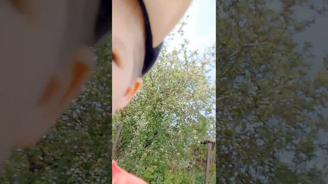 показываю грядки свои и Дедова