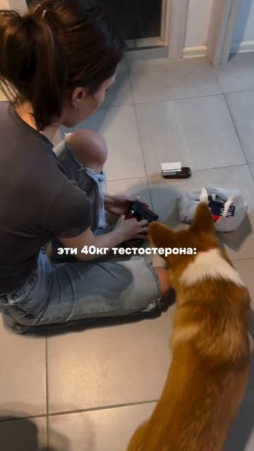 Эти 40 кг тестостерона