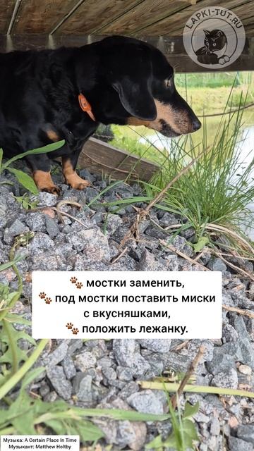 технадзор