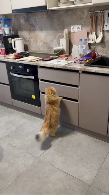 Наша выпускница Амелия.Девочка красавицей растёт 💗💗💗