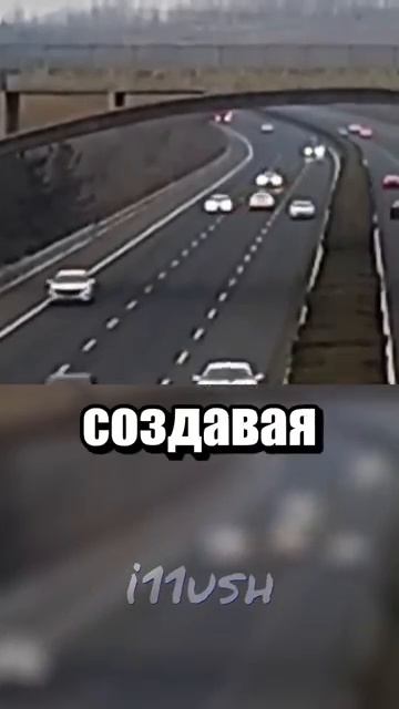 i11ushenka (1071)