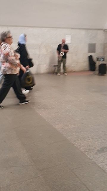 В переходе московского метро