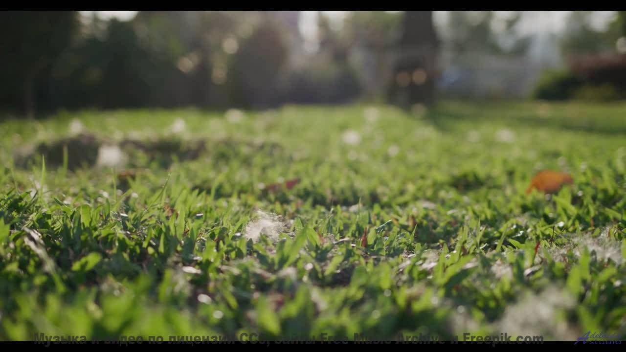 Пейзажи заставляют забыть про реальность с этим саундом - Rainbow -- Chad Crouch -- Motion