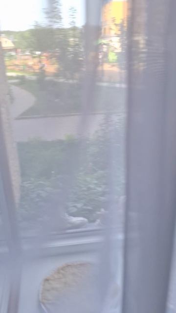 Мама Умница❤️🔥Утро, спорт, правильный завтрак и настроение🌞💘