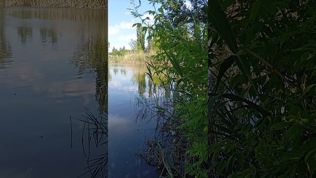 видео расказ о пруде  аэродромном