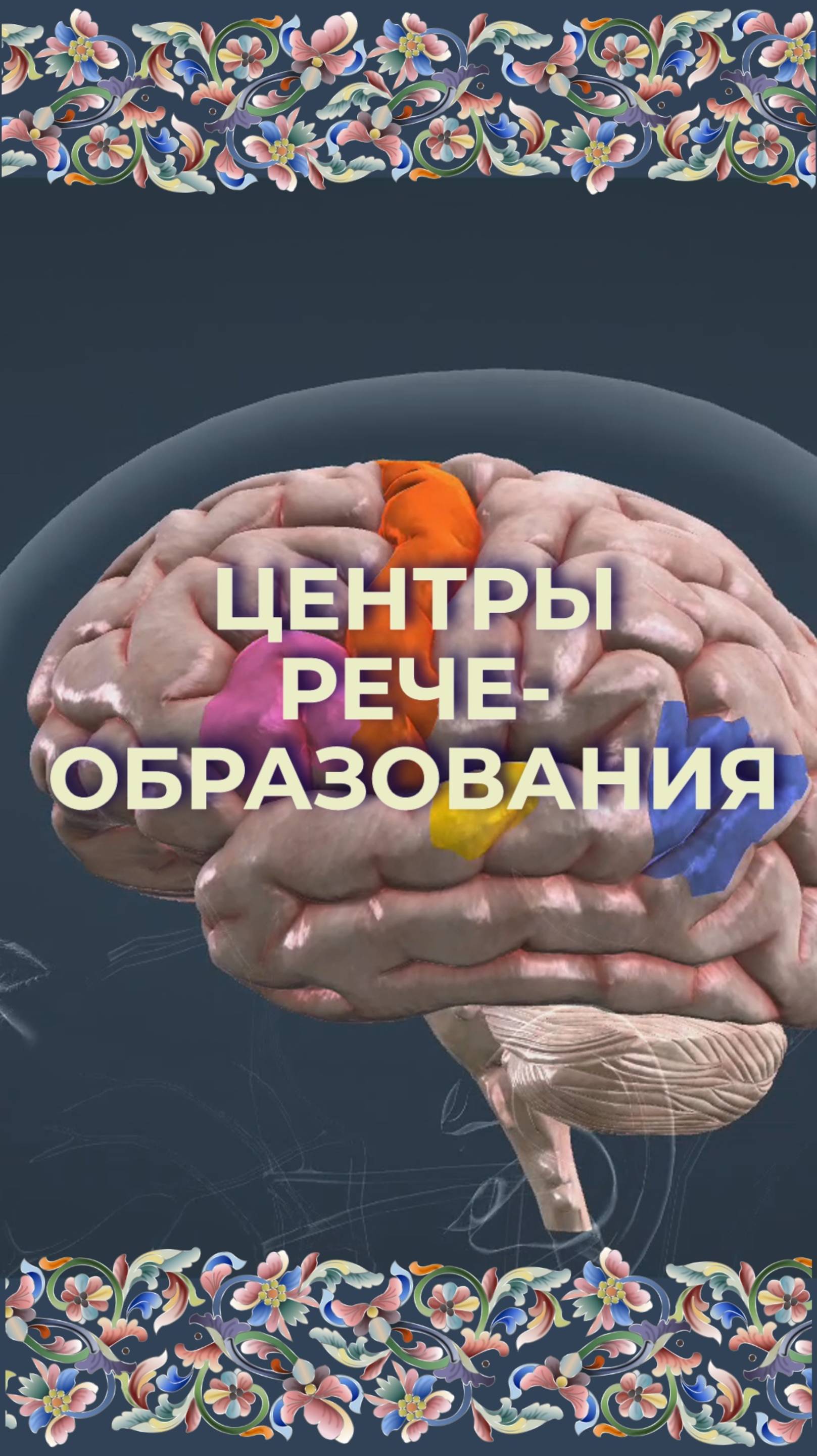 Центры речеобразования