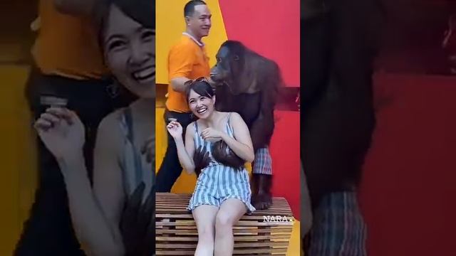 Обезьяна любовник!🤣