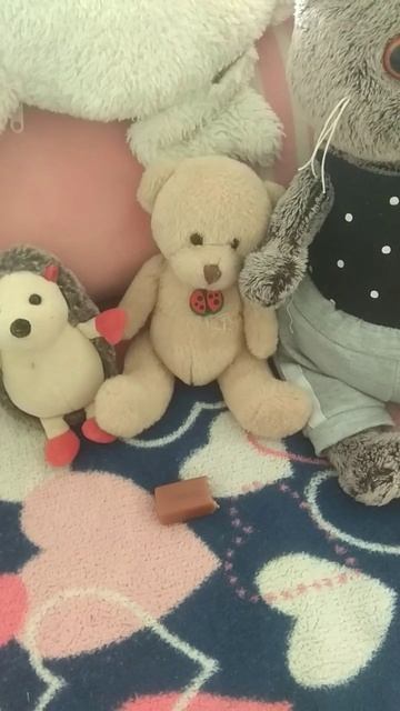 Мурзик, друзья, конфета🐱🍭🐻🦔