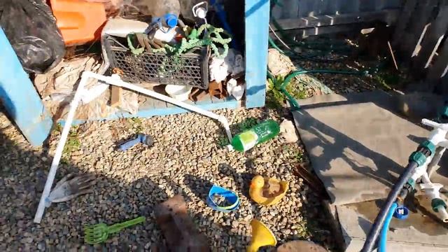 Чтобы вода в бассейне не цвела, что добавить?