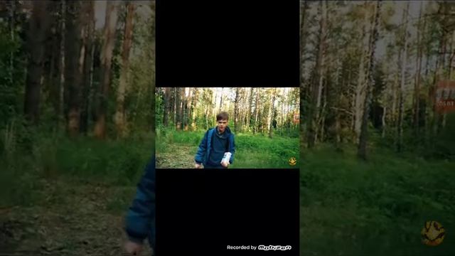 Реакция на страхи шоу 2
