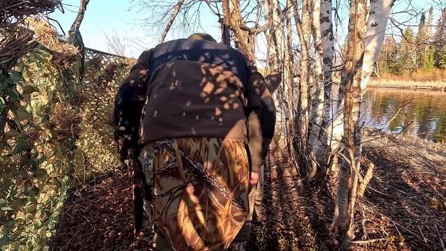 С ПАЛАТКОЙ НА ОСТРОВЕ. ВЕСЕННЯЯ ИСТОРИЯ. ЖИВУ НА ТАЁЖНОЙ РЕКЕ. ДОБЫЛ УТКУ. ОХОТА НА СЕЛЕЗНЯ