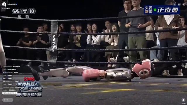 На видео бой между человекоподобными роботами в Китае