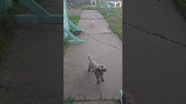 Ребята весь вечер от нечего делать считали в небе самолёты 🌞✈️✈️😻🌛