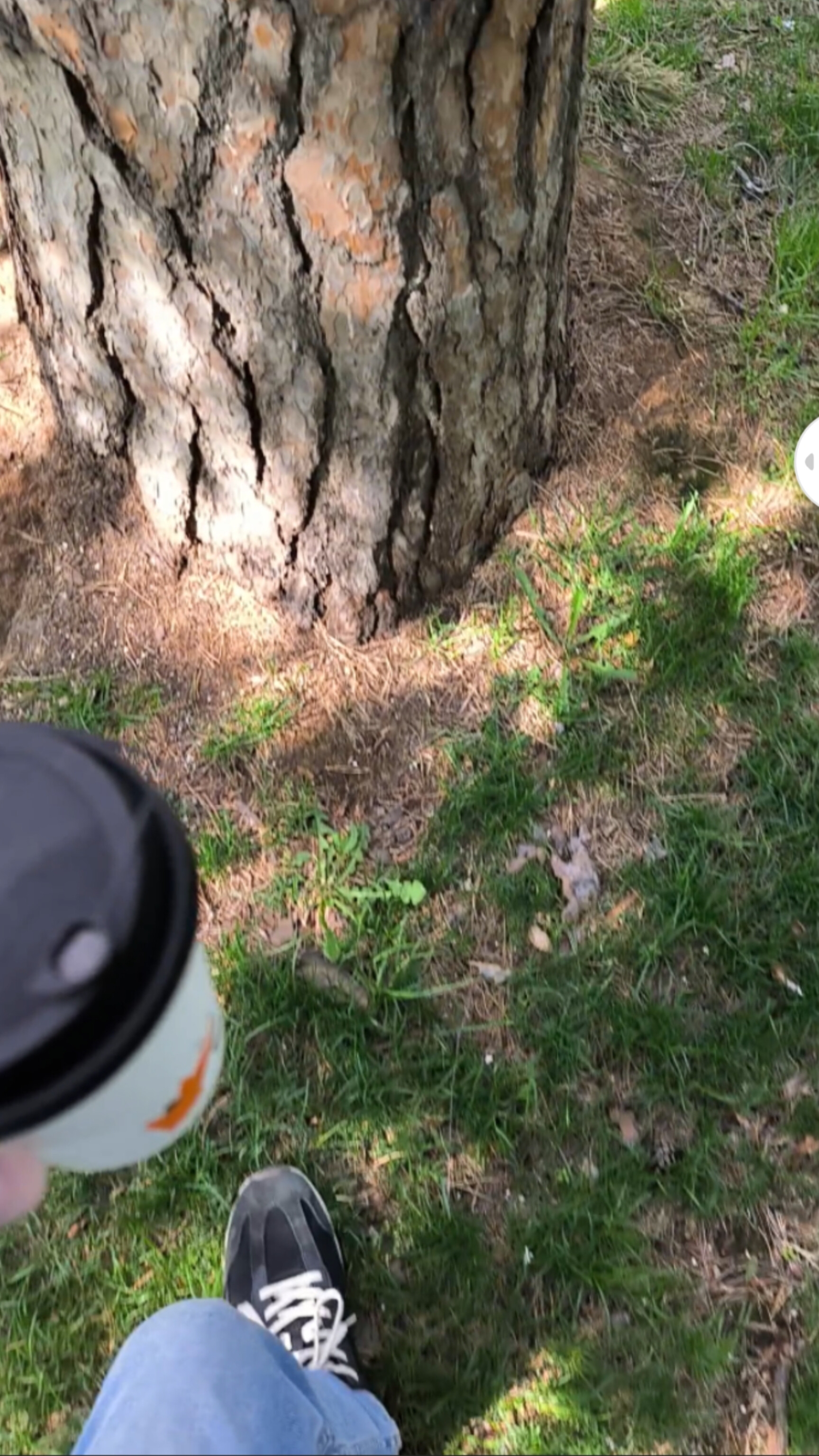Для Влюбленных в Кофе ☕ и не Только 💖 Наш трек 🤩 YOUR SMILE { Твоя Улыбка }   Навсегда Любовь ✨