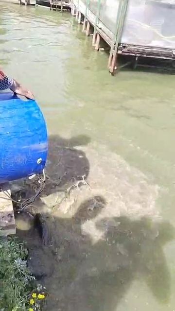 WhatsApp Video 2025-05-29 at 15.46.38