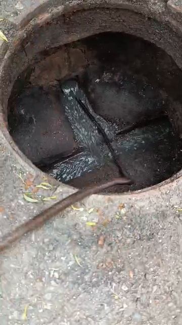 Голубые дали, 5