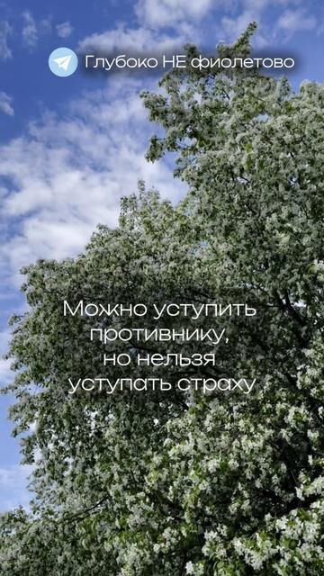 ✅ Глубоко не фиолетово - тг-канал нейрокоуча и расстановщика #расстановки #коучинг #мотивация