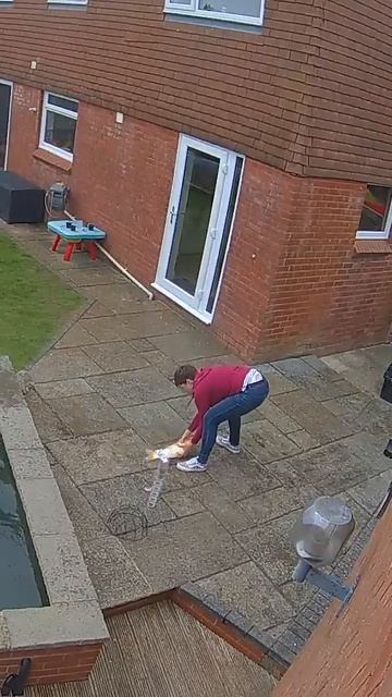My wife went into the garden at the perfect time 🤣😲 (🎥_ Collab)