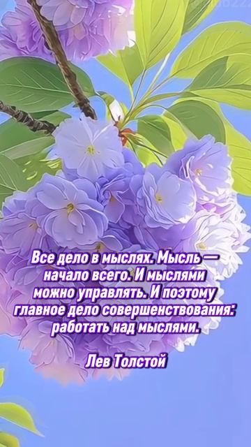 Лев Толстой. Мысли